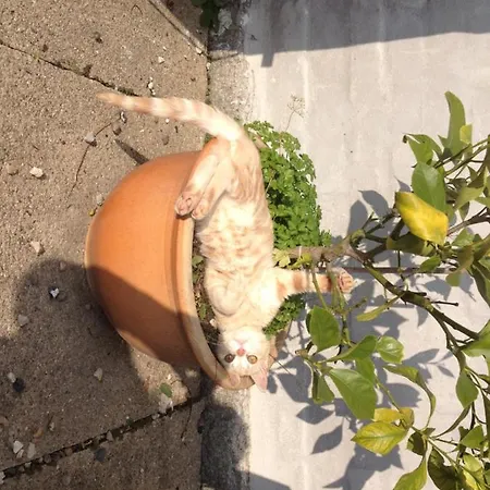 Kildegaarden * Frørup