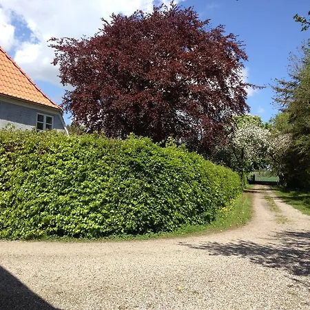 Kildegaarden Panzió *