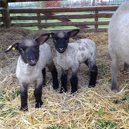 فندق مبيت وإفطار Kildegaarden