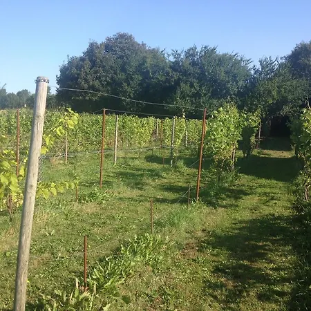 Kildegaarden Panzió Frørup