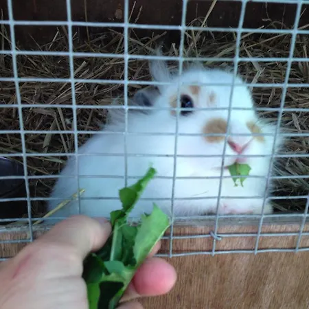 Kildegaarden Frørup