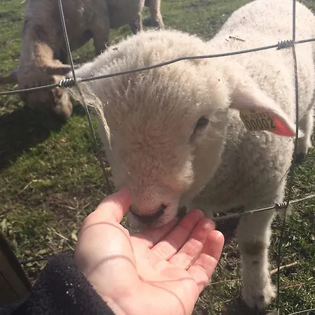 Panzió Kildegaarden *